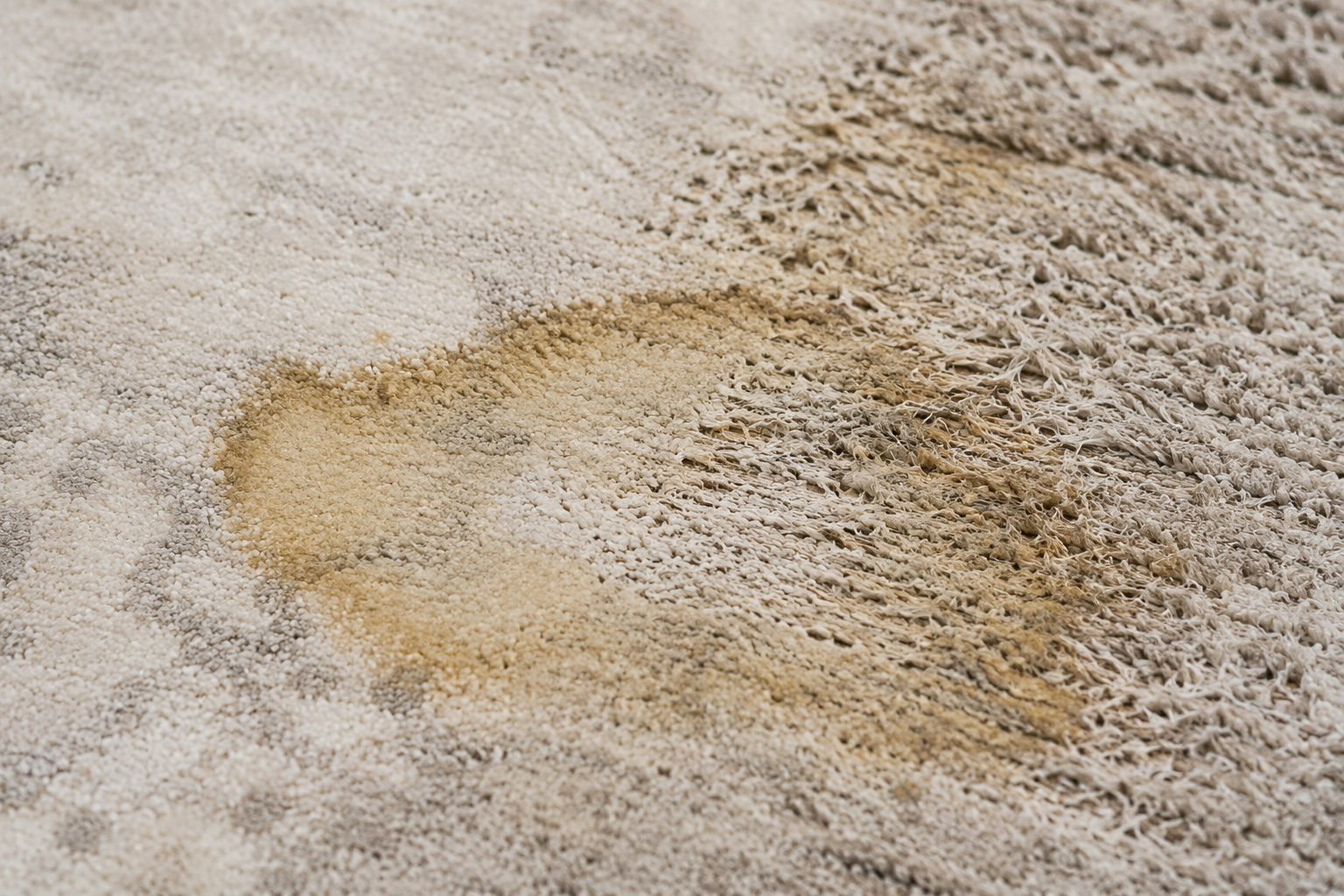 A viscose rug showing a permanent yellowed water mark with visibly roughened fibers around it